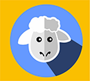 icon-domba